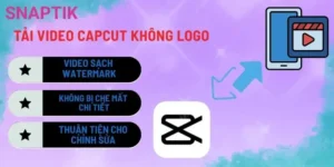 Tải Video Instagram Reels 4K Không Logo Miễn Phí