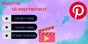 Tải Video Twitter, Pinterest, Reddit – Công Cụ Tổng Hợp