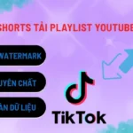 tai-youtube-shorts-tai-playlist-youtube